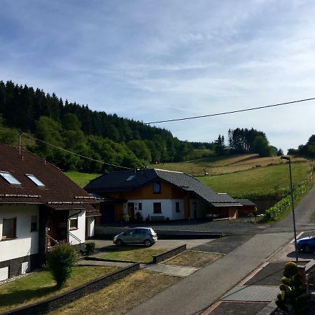 Ferienwohnung Am Nuerburgring/Wintersport Arft Acht Εξωτερικό φωτογραφία