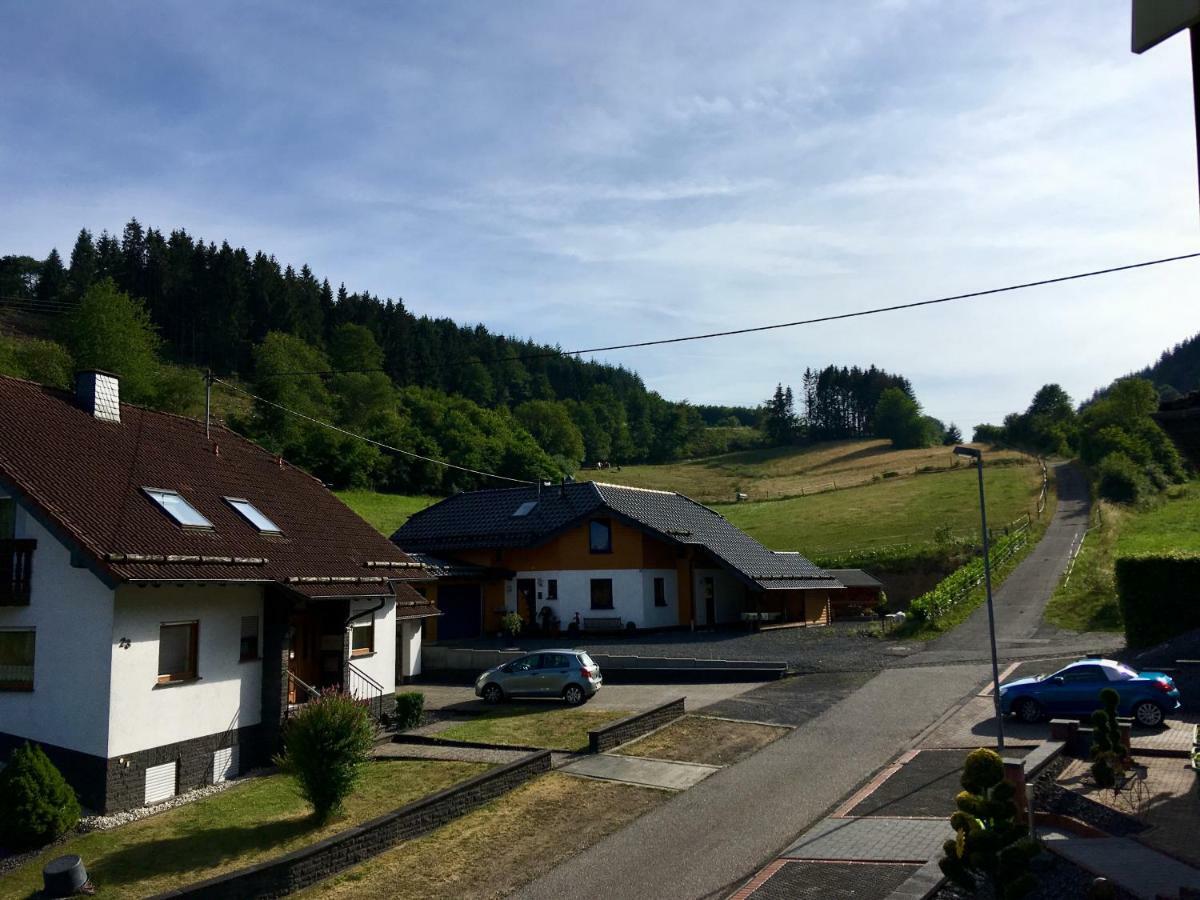 Ferienwohnung Am Nuerburgring/Wintersport Arft Acht Εξωτερικό φωτογραφία