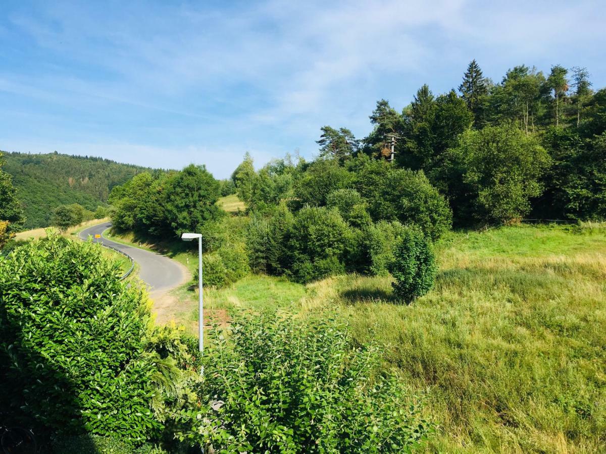 Ferienwohnung Am Nuerburgring/Wintersport Arft Acht Εξωτερικό φωτογραφία